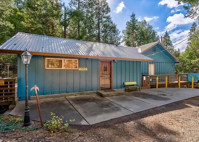 Starlight Cabin